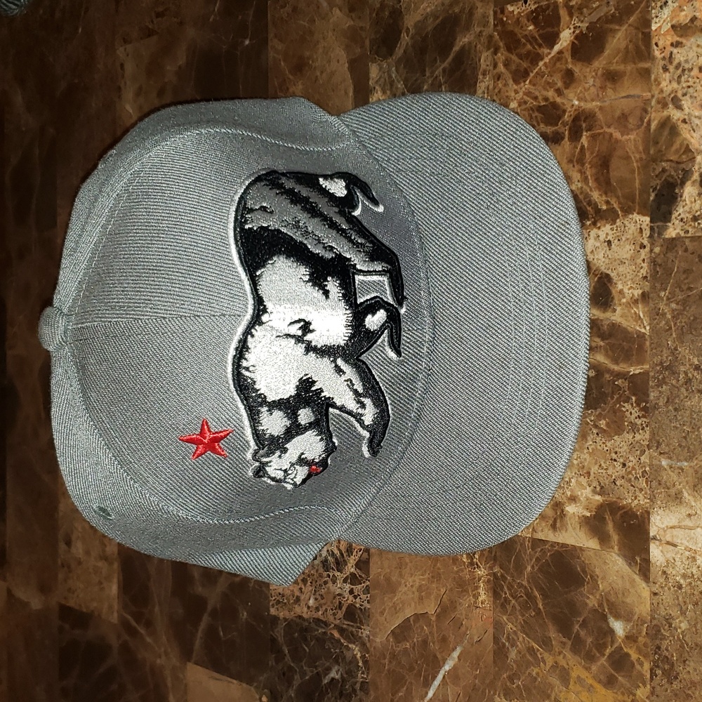 Carbon Element "California Bear" Snapback!